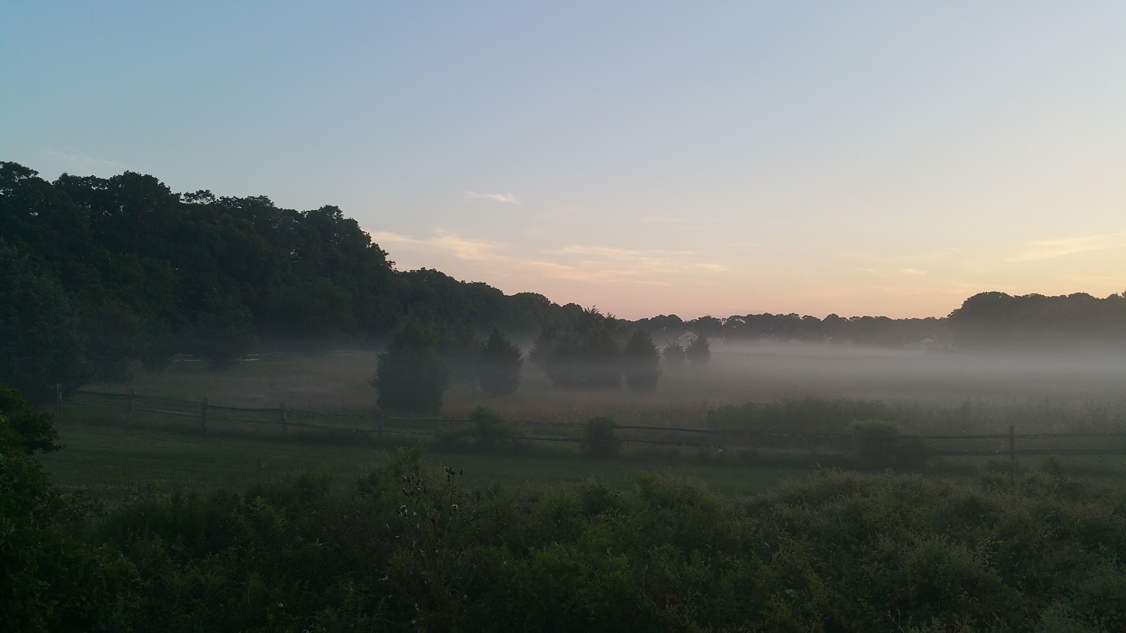 Hampton Racquet — photo 4 of 5