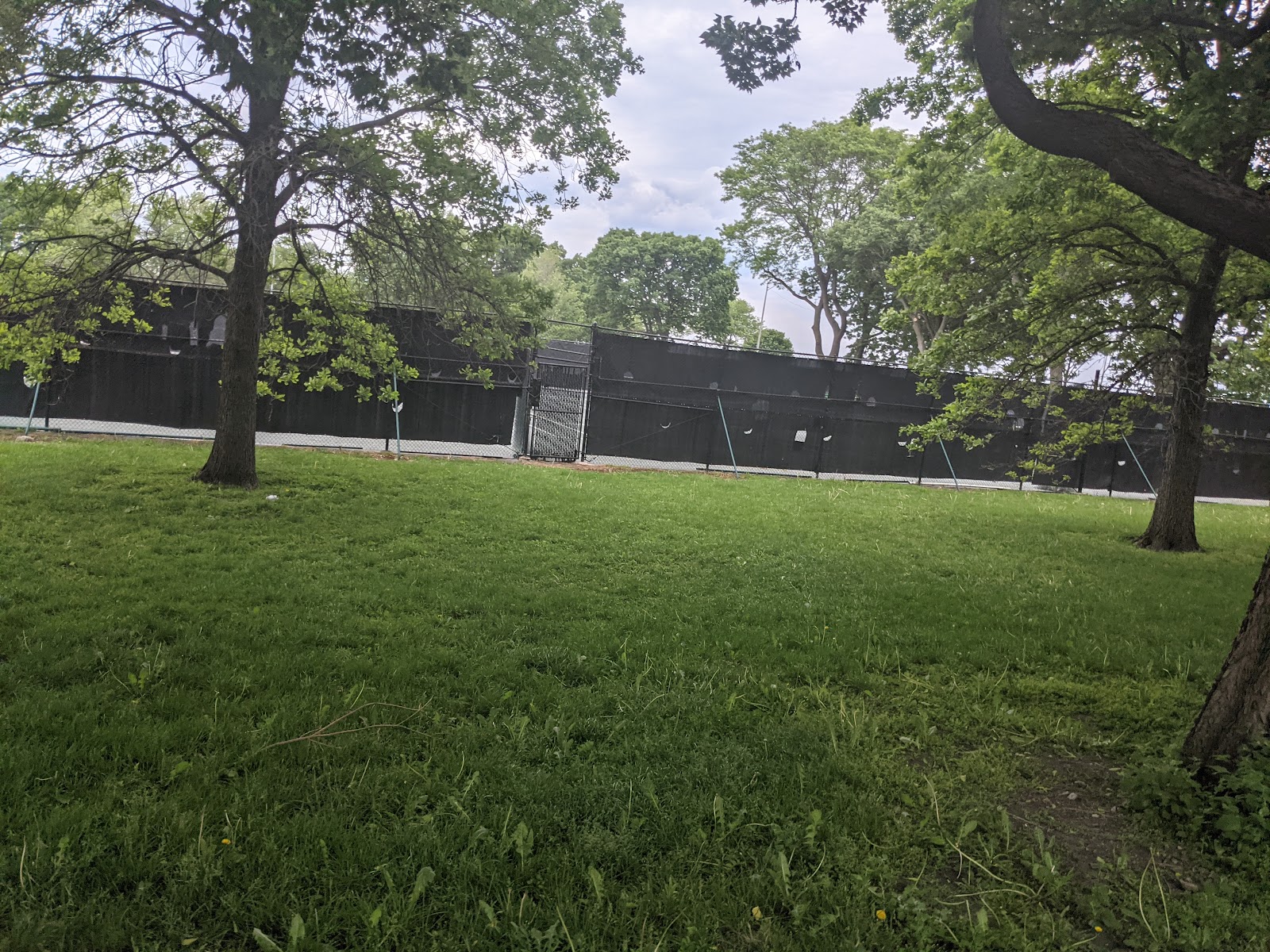 Lincoln Park Padel — photo 2 of 5
