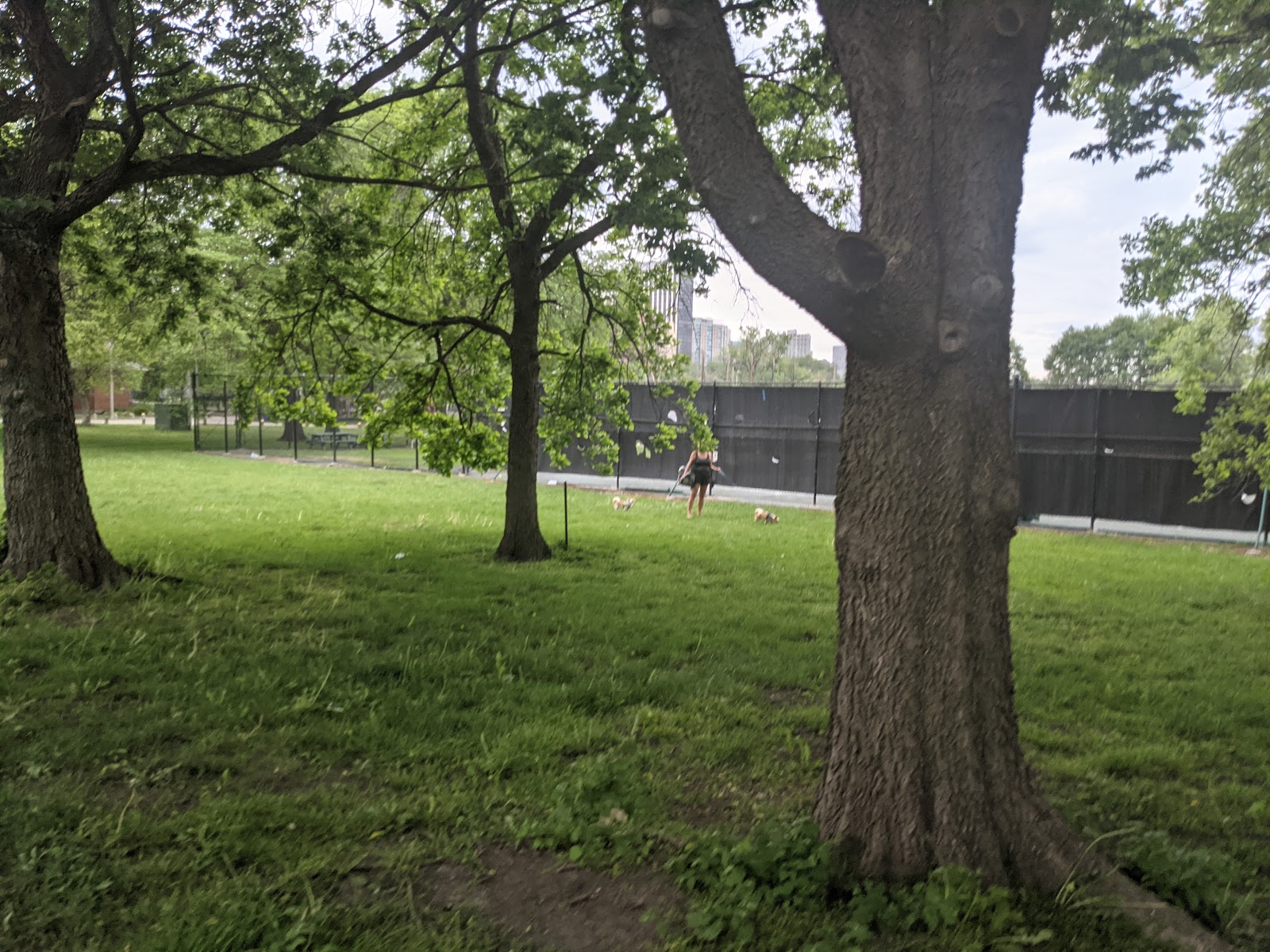 Lincoln Park Padel — photo 4 of 5