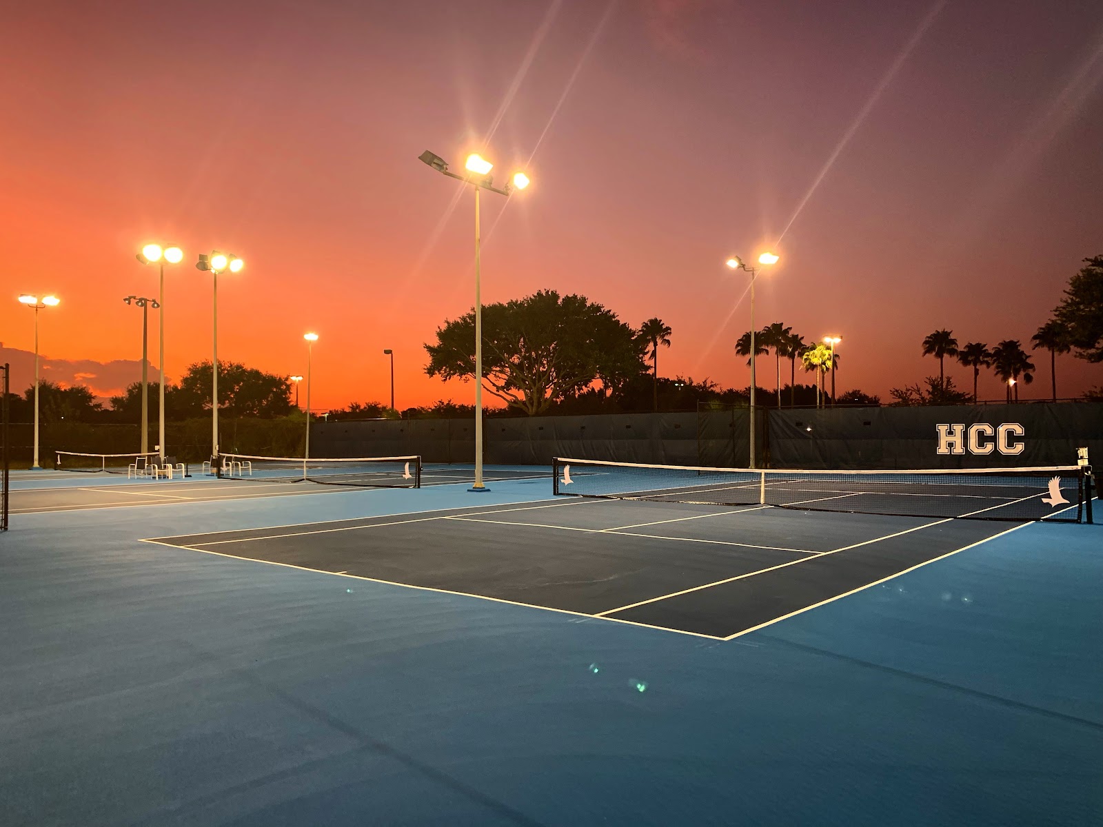 Tampa Padel Club — photo 2 of 5